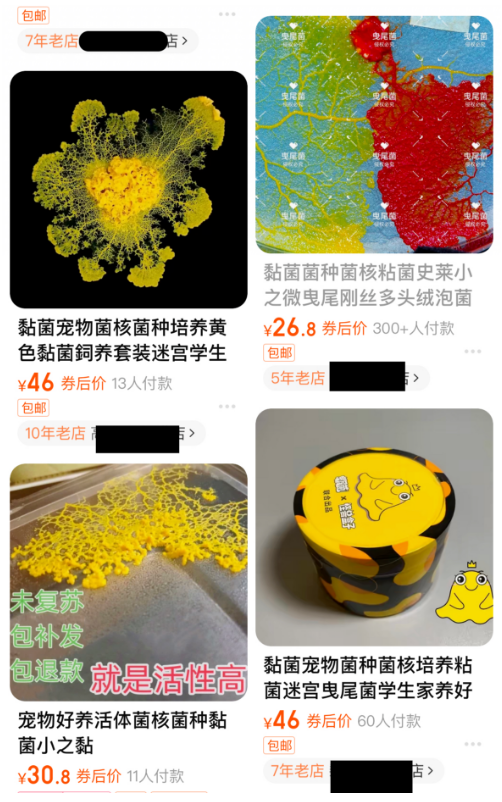 突然火了！孩子把黏糊糊的它当宠物养，家长懵了……